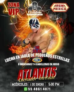 FUNCION ESPECIAL/SPECIAL FUNCTION GRAN PRIX AMAZONAS 24 OCTUBRE 20:30 Mesa VIP/VIP Table (Acceso a la arena 1 persona/Access to Arena 1 person)